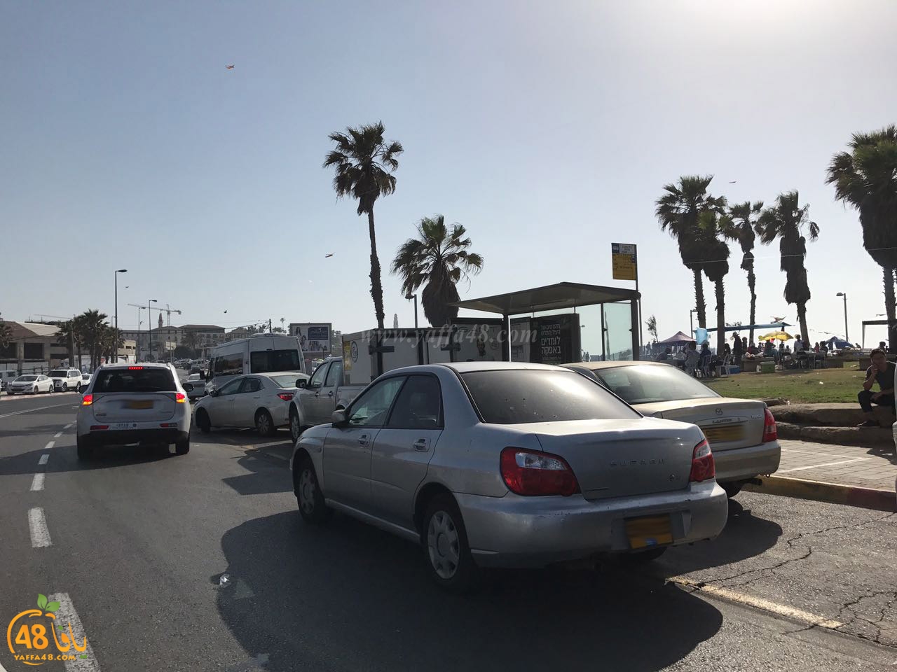 cars in yefaffa (16).jpg